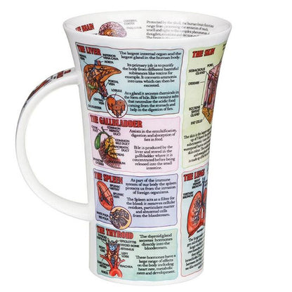 Mug en porcelaine fine style Glencoe, décoré d'organes du corps humain.