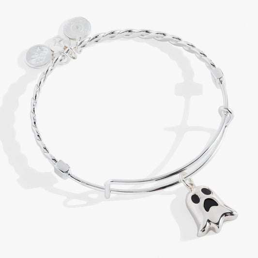 Ghost Only Here for the Boos textured bangle by Alex and Ani silver-tone bracelet on Tampa Home & Garden Store