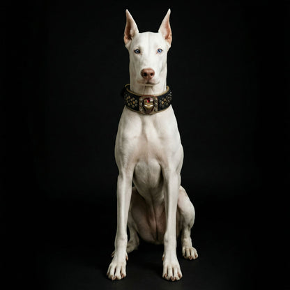 Collar Irondog