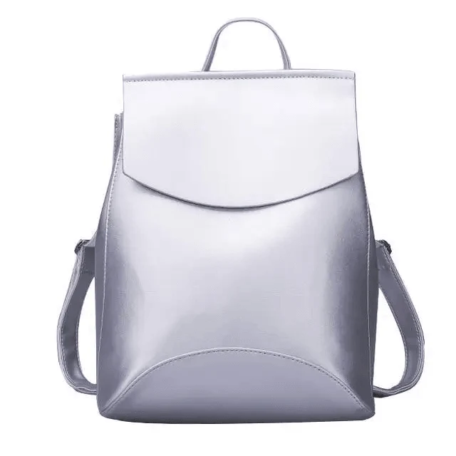 Stevvex leather backpack in metallic silver with top handle and adjustable shoulder straps on Tampa Home & Garden Store
