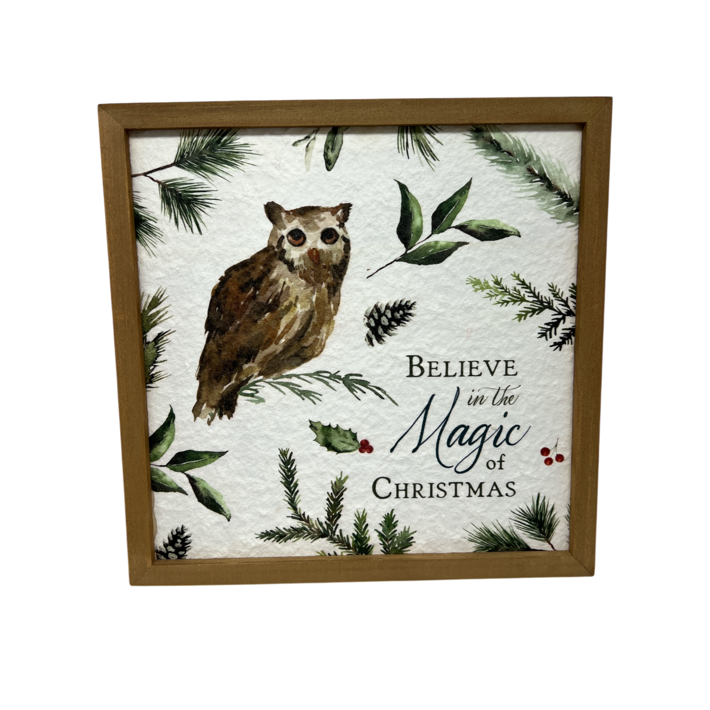 Croyez à la magie de Noël (Imprimé)