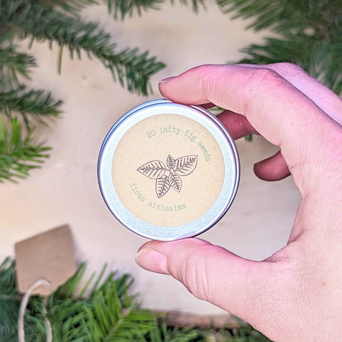 Holiday Seed Ornament seeds by Plantflix in a round metal tin with a leaf illustration on Tampa Home & Garden Store