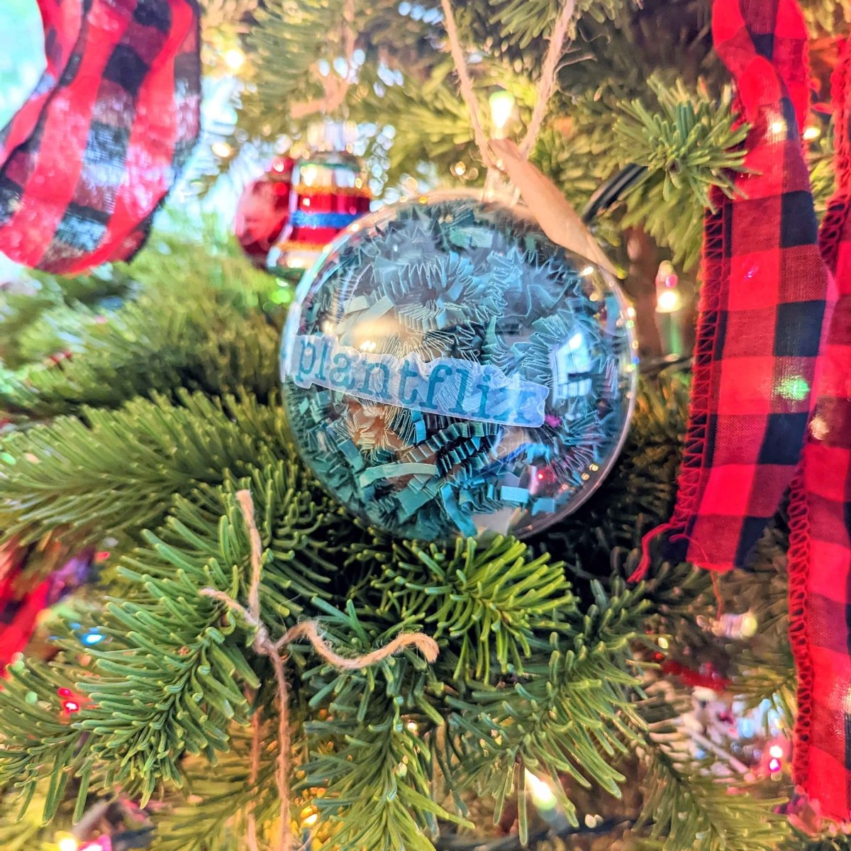 Holiday Seed Ornament glass ball with teal shredded paper inside by Plantflix on Tampa Home & Garden Store
