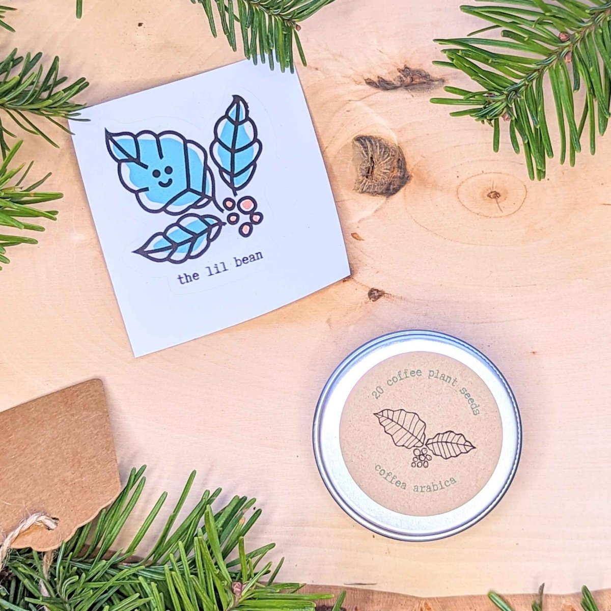 Holiday Seed Ornament seeds by Plantflix – 20 coffee plant seeds in a round tin with kraft label on Tampa Home & Garden Store