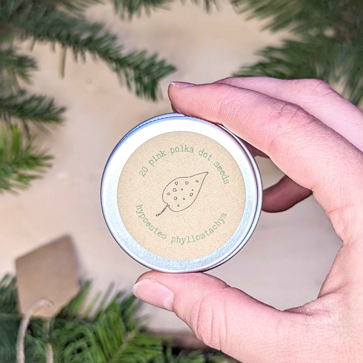 Holiday Seed Ornament seeds tin Plantflix beige label with leaf drawing 20 pink polka dot seeds on Tampa Home & Garden Store