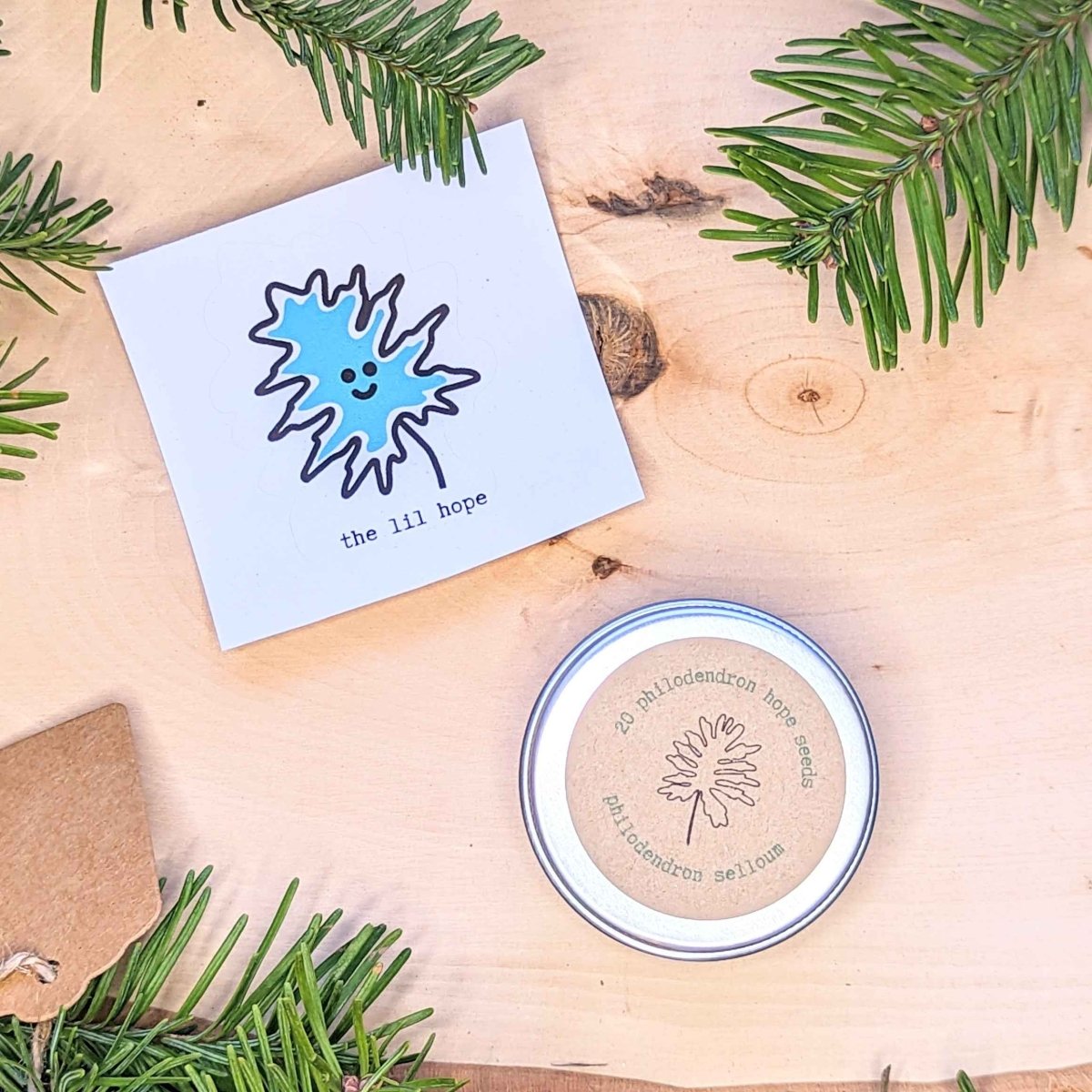 Holiday Seed Ornament seeds by Plantflix in a round metal tin with blue splash logo card on Tampa Home & Garden Store
