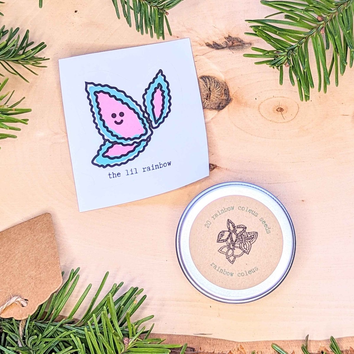 Holiday Seed Ornament by Plantflix; pastel pink/blue butterfly card with seed tin on Tampa Home & Garden Store