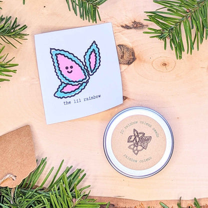 Holiday Seed Ornament by Plantflix; pastel pink/blue butterfly card with seed tin on Tampa Home & Garden Store