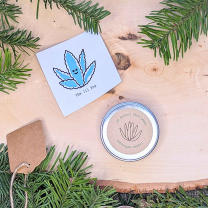 Holiday Seed Ornament seeds by Plantflix; 20 foxtail fern seeds in a tin with kraft tag on wood on Tampa Home & Garden Store