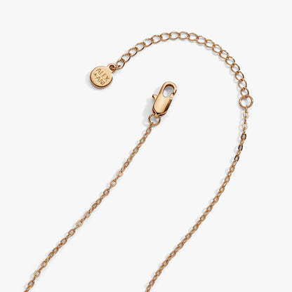Horse Girl At Heart Horseshoe Necklace rose-gold chain with round pendant engraved ALEX AND ANI on Tampa Home & Garden Store