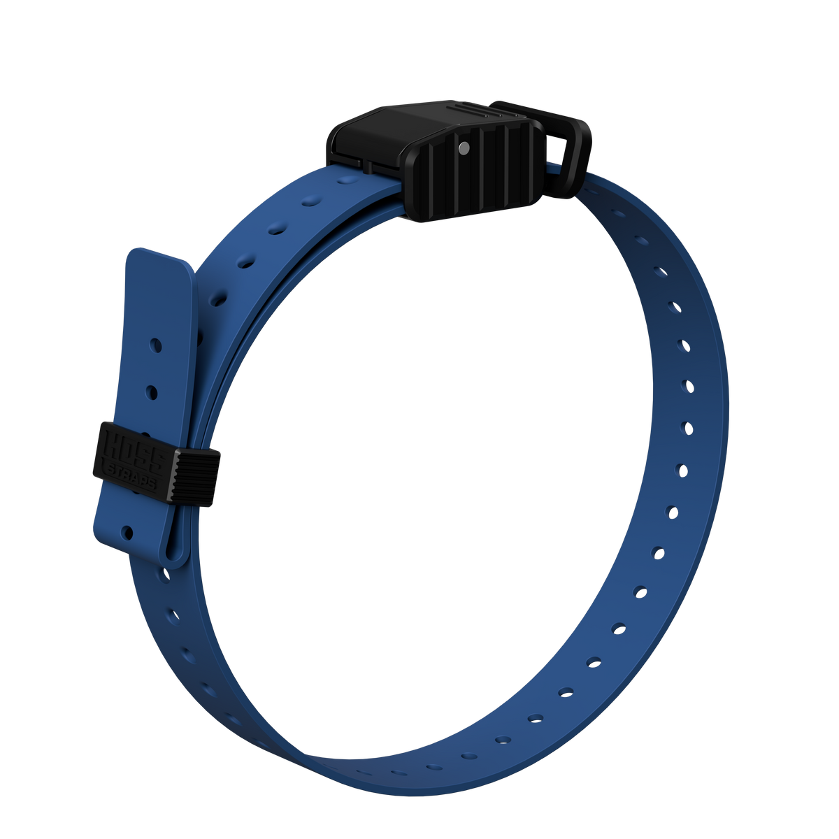 Blue 1-inch replacement e-collar strap with ridged black buckle, Hoss Straps on Tampa Home & Garden Store