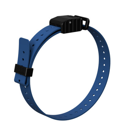 Blue 1-inch replacement e-collar strap with ridged black buckle, Hoss Straps on Tampa Home & Garden Store