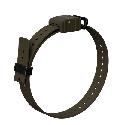 Hoss Straps 1-inch replacement e-collar strap tan with black buckle on Tampa Home & Garden Store