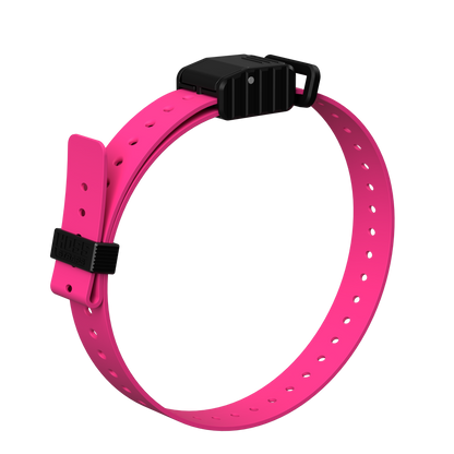 1-inch replacement e-collar strap pink with black buckle Hoss Straps on Tampa Home & Garden Store