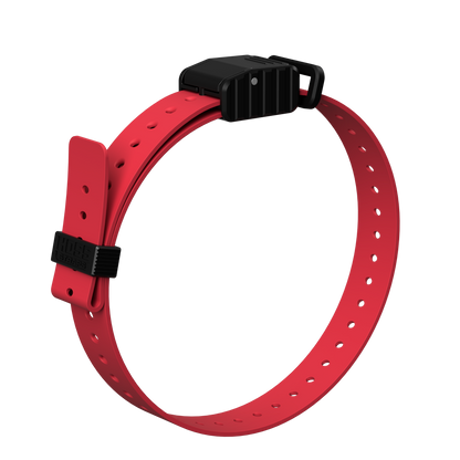 1-inch Replacement E-Collar Strap red nylon with black buckle by Hoss Straps on Tampa Home & Garden Store