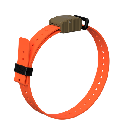1 in replacement e-collar strap orange nylon collar by Hoss Straps with black buckle on Tampa Home & Garden Store