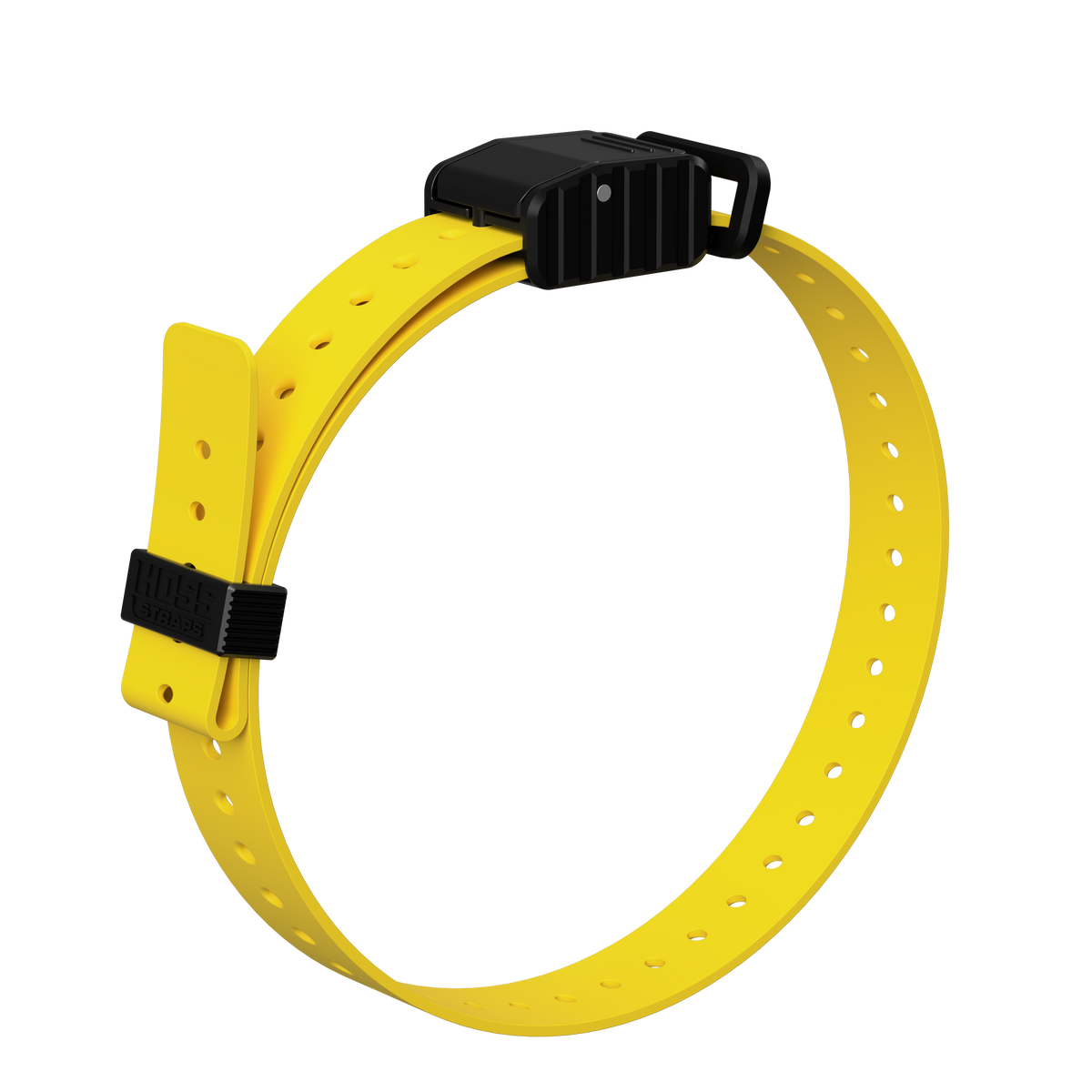 1-inch replacement e-collar strap yellow with black Hoss Straps buckle on Tampa Home & Garden Store
