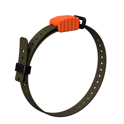 3/4 inch replacement E-Collar Strap by Hoss Straps, orange housing with olive strap on Tampa Home & Garden Store