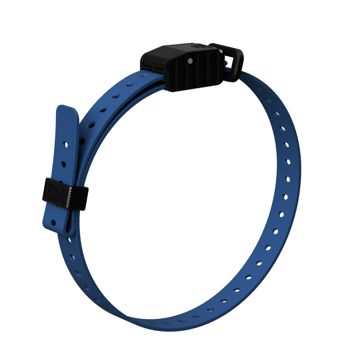 3/4in replacement e-collar strap blue with black buckle Hoss Straps on Tampa Home & Garden Store