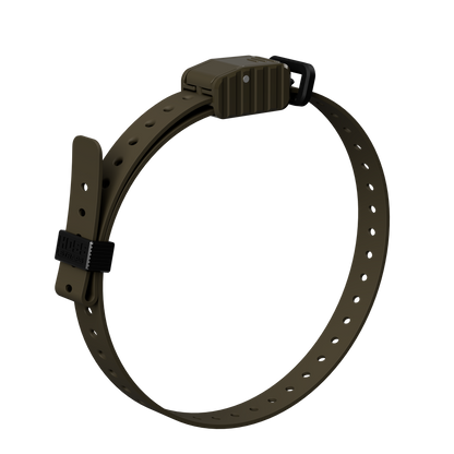 3/4 in Replacement E-Collar Strap olive tan by Hoss Straps with black buckle on Tampa Home & Garden Store