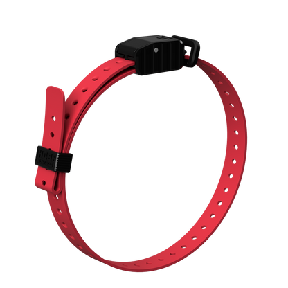3/4 in Replacement E-Collar Strap red by Hoss Straps for pets, Pet Collars & Harnesses on Tampa Home & Garden Store