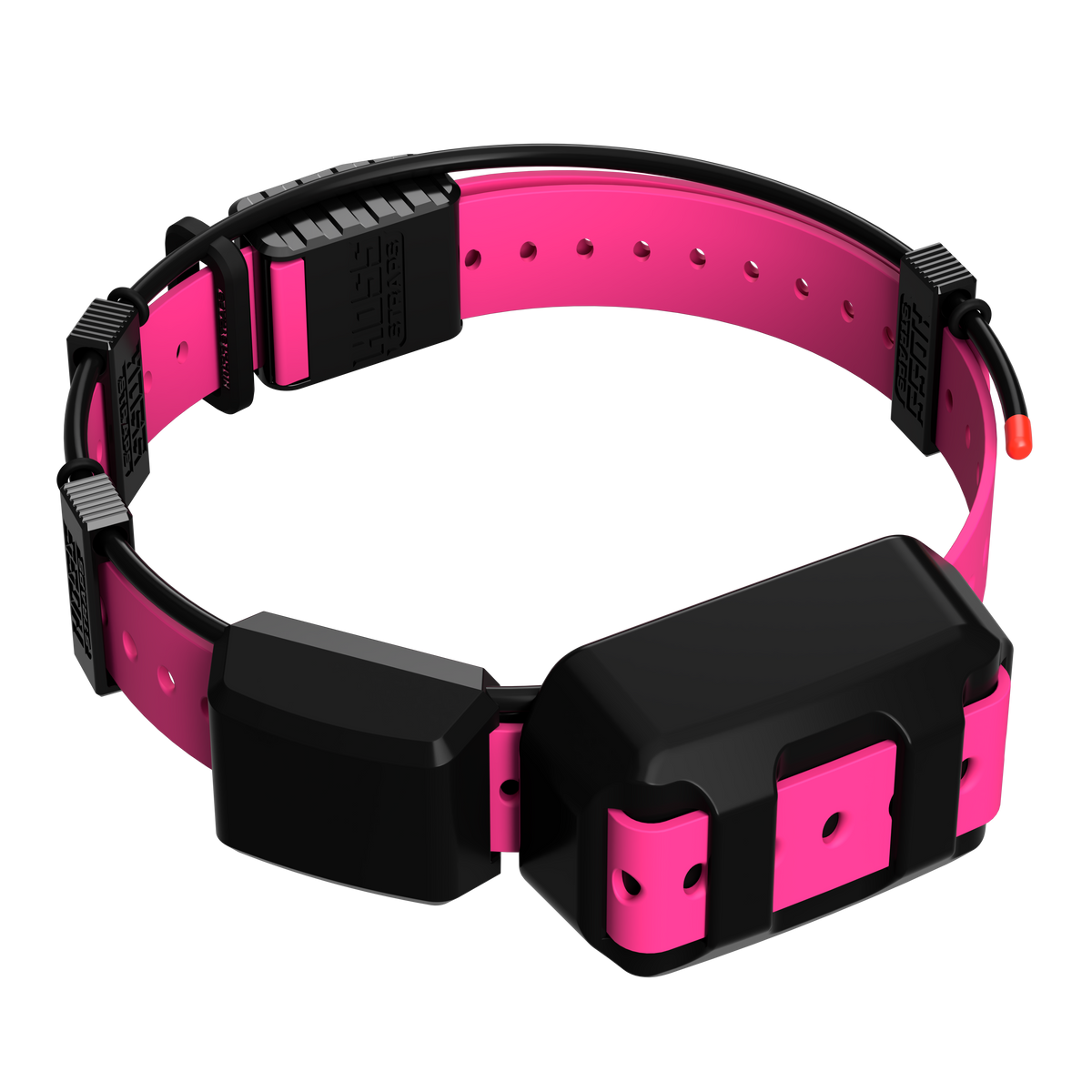 Tracking Collar 1in Replacement Strap Kit pink strap with black hardware Hoss Straps on Tampa Home & Garden Store