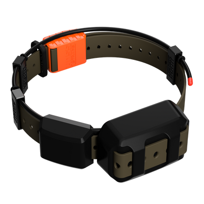 Tracking Collar 1in Replacement Strap Kit orange buckle olive strap by Hoss Straps on Tampa Home & Garden Store
