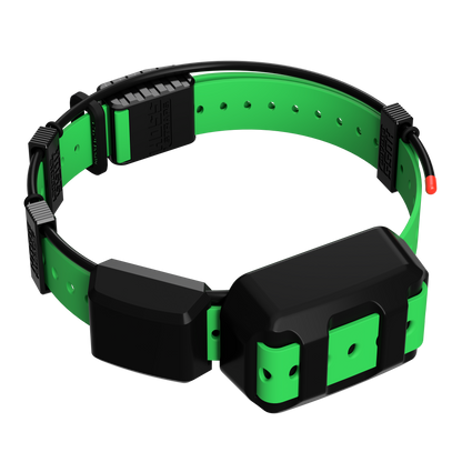 Tracking Collar 1in Replacement Strap Kit green 1in strap with black buckle by Hoss Straps on Tampa Home & Garden Store