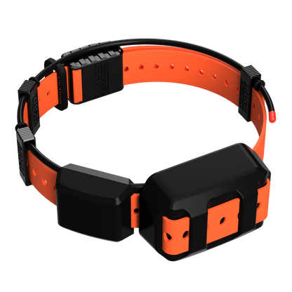 Tracking Collar 1-inch replacement strap kit by Hoss Straps, orange strap with black hardware on Tampa Home & Garden Store