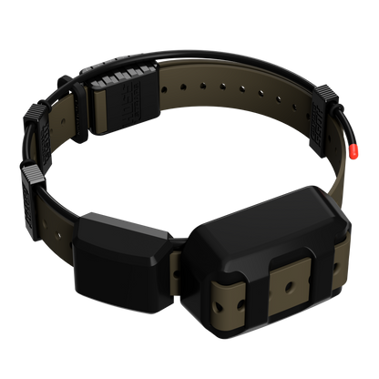 Tracking Collar 1in Replacement Strap Kit by Hoss Straps, olive brown strap with black hardware on Tampa Home & Garden Store