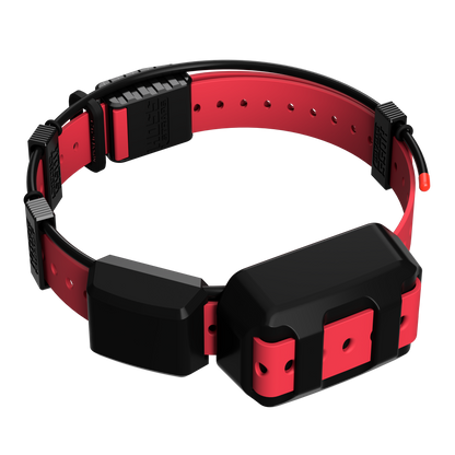 Hoss Straps Tracking Collar 1in replacement strap kit, red strap with black buckle hardware on Tampa Home & Garden Store