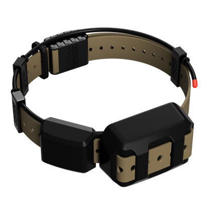 Tracking Collar 1in Replacement Strap Kit by Hoss Straps, tan strap for training choke collars on Tampa Home & Garden Store