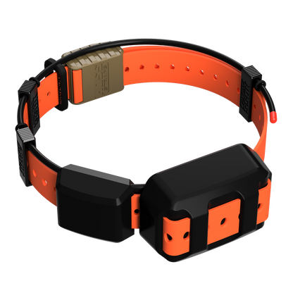 Tracking Collar 1-inch Replacement Strap Kit orange strap with hardware by Hoss Straps on Tampa Home & Garden Store