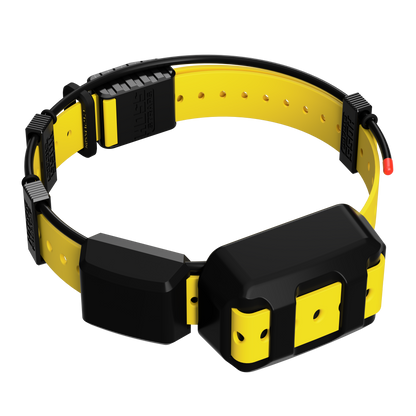 Tracking collar 1in replacement strap kit by Hoss Straps, yellow strap with black hardware on Tampa Home & Garden Store