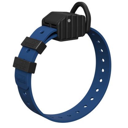 PRO SERIES FIELD COLLAR blue strap with black buckle by Hoss Straps hunting dog collar on Tampa Home & Garden Store