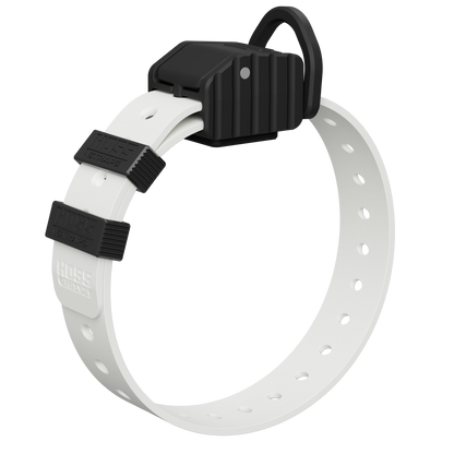 PRO SERIES FIELD COLLAR by Hoss Straps, white hunting dog collar with black hardware on Tampa Home & Garden Store