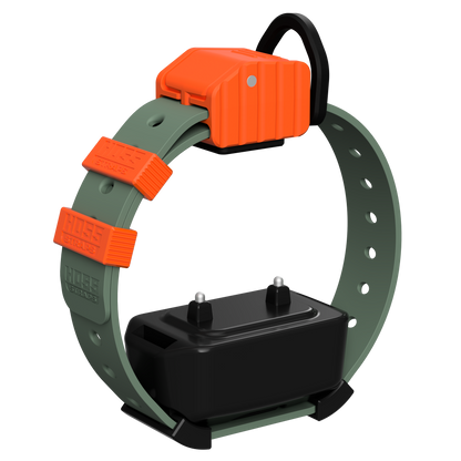 Pro Series Training Collar Setup by Hoss Straps with orange module and olive strap on Tampa Home & Garden Store