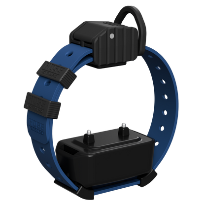 Pro Series Training Collar Setup with black receiver on blue Hoss Straps hunting dog collar on Tampa Home & Garden Store