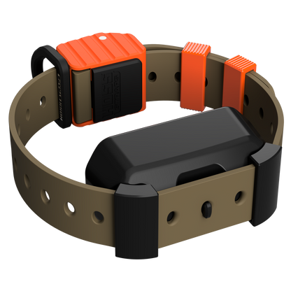 Pro Series Training Collar Setup by Hoss Straps, orange receiver module on brown dog collar on Tampa Home & Garden Store
