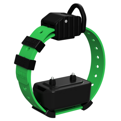 Hoss Straps Pro Series Training Collar Setup green nylon strap with black receiver unit on Tampa Home & Garden Store