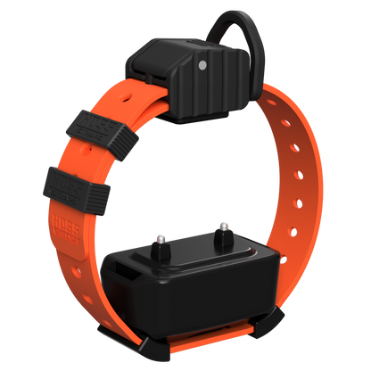 Pro Series Training Collar Setup orange strap with black receiver module Hoss Straps on Tampa Home & Garden Store