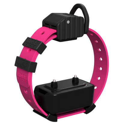 Pro Series Training Collar Setup pink Hoss Straps hunting dog collar with black control module on Tampa Home & Garden Store