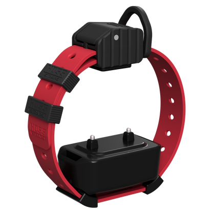 Pro Series Training Collar Setup on red Hoss Straps hunting collar with black controller on Tampa Home & Garden Store