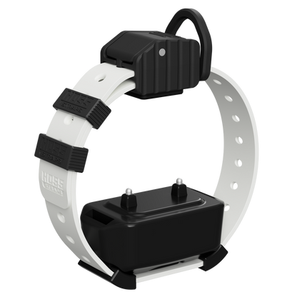 Pro Series Training Collar Setup module on white Hoss Straps hunting dog collar, black housing on Tampa Home & Garden Store