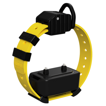 Hoss Straps Pro Series Training Collar Setup on yellow strap with black housing on Tampa Home & Garden Store