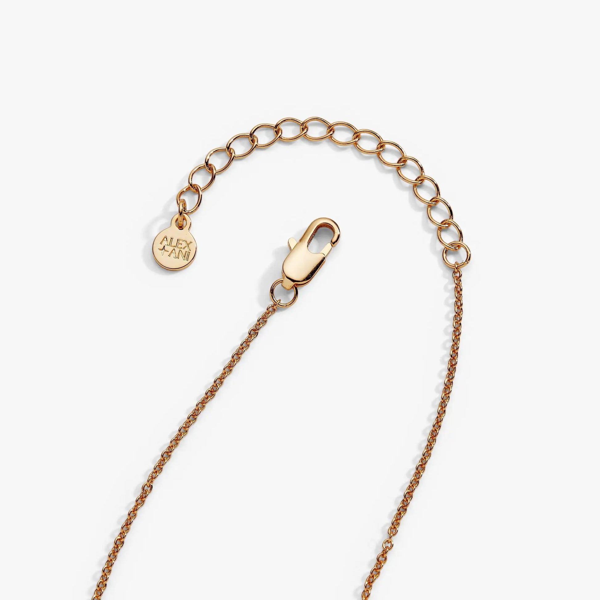 Gold-tone Alex and Ani hamburger pendant necklace with bun charm and logo tag on Tampa Home & Garden Store