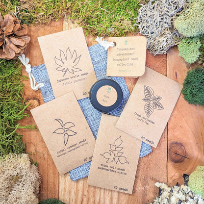 Colección de Semillas "Aventurero de Plantas de Interior"