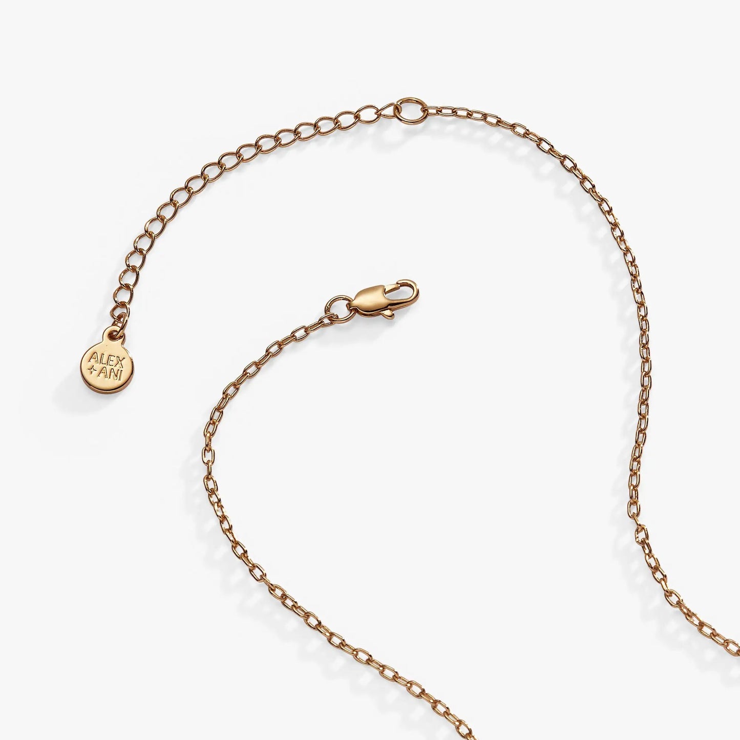 Howdy Necklace by ALEX AND ANI, rose-gold chain with lobster clasp and round charm on Tampa Home & Garden Store