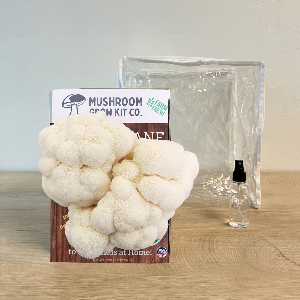 Premium Lion's Mane Mushroom Growing Kit - 5 LBS