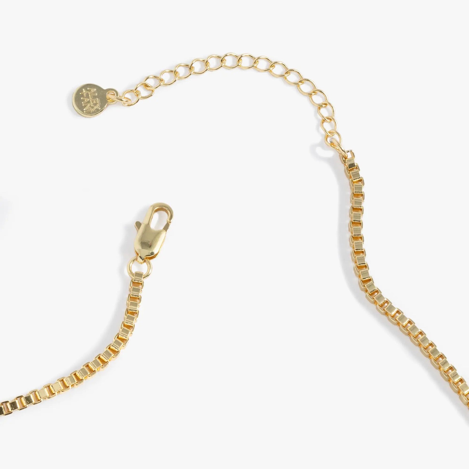 Gold tone Hummingbird Gemstone Pendant Necklace chain with ALEX AND ANI tag and clasp on Tampa Home & Garden Store